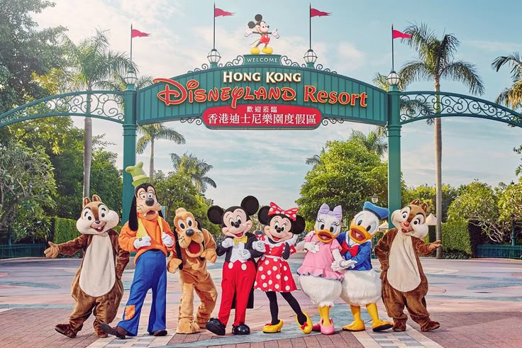 Disney Parks Around The World Private Jet Adventure